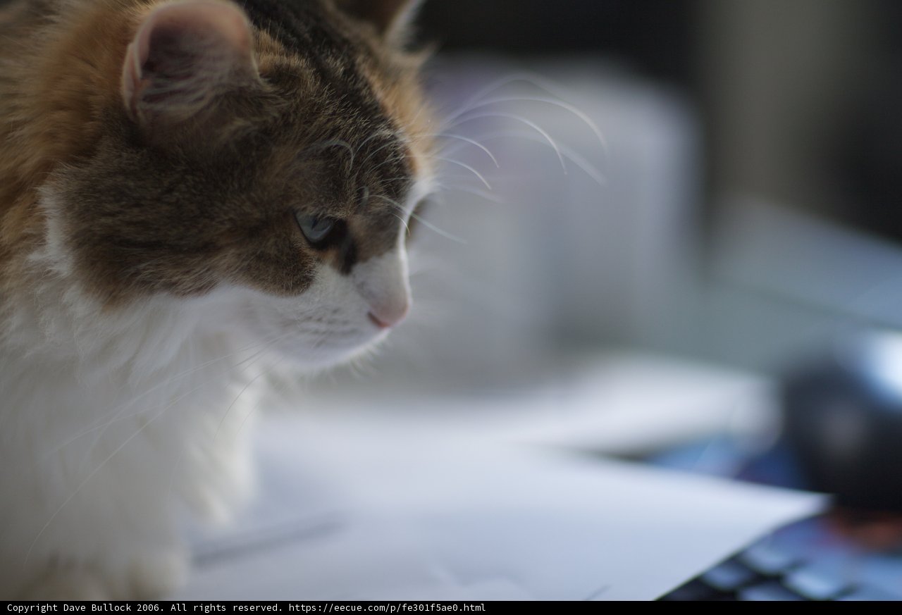 Desk Companion