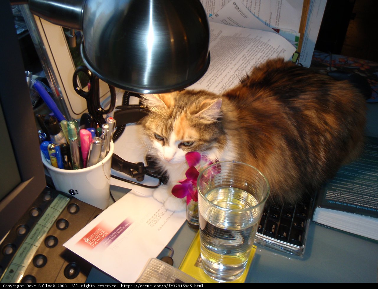 Desk Buddy