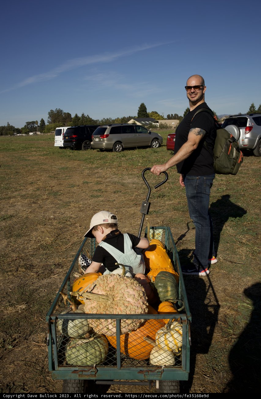 A Day of Fun and Frolic at The Pumpkin Patch