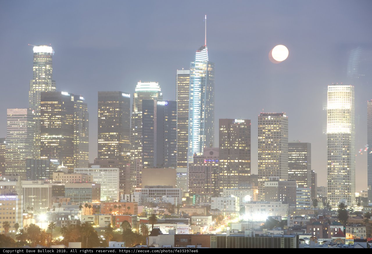 Moonlit Metropolis