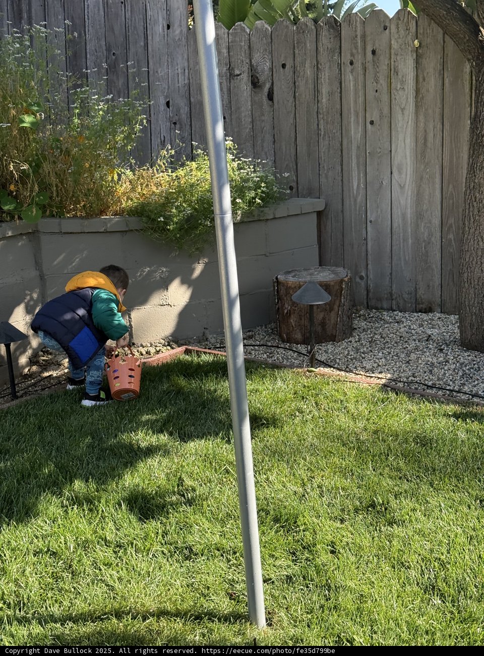 Backyard Discovery