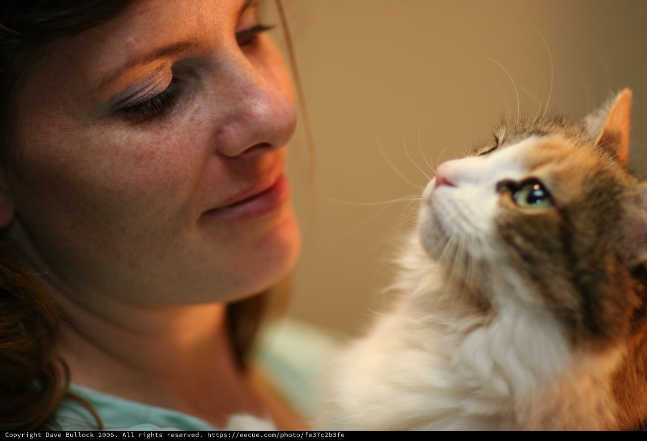 Tender Moment Between Woman and Fluffy Cat