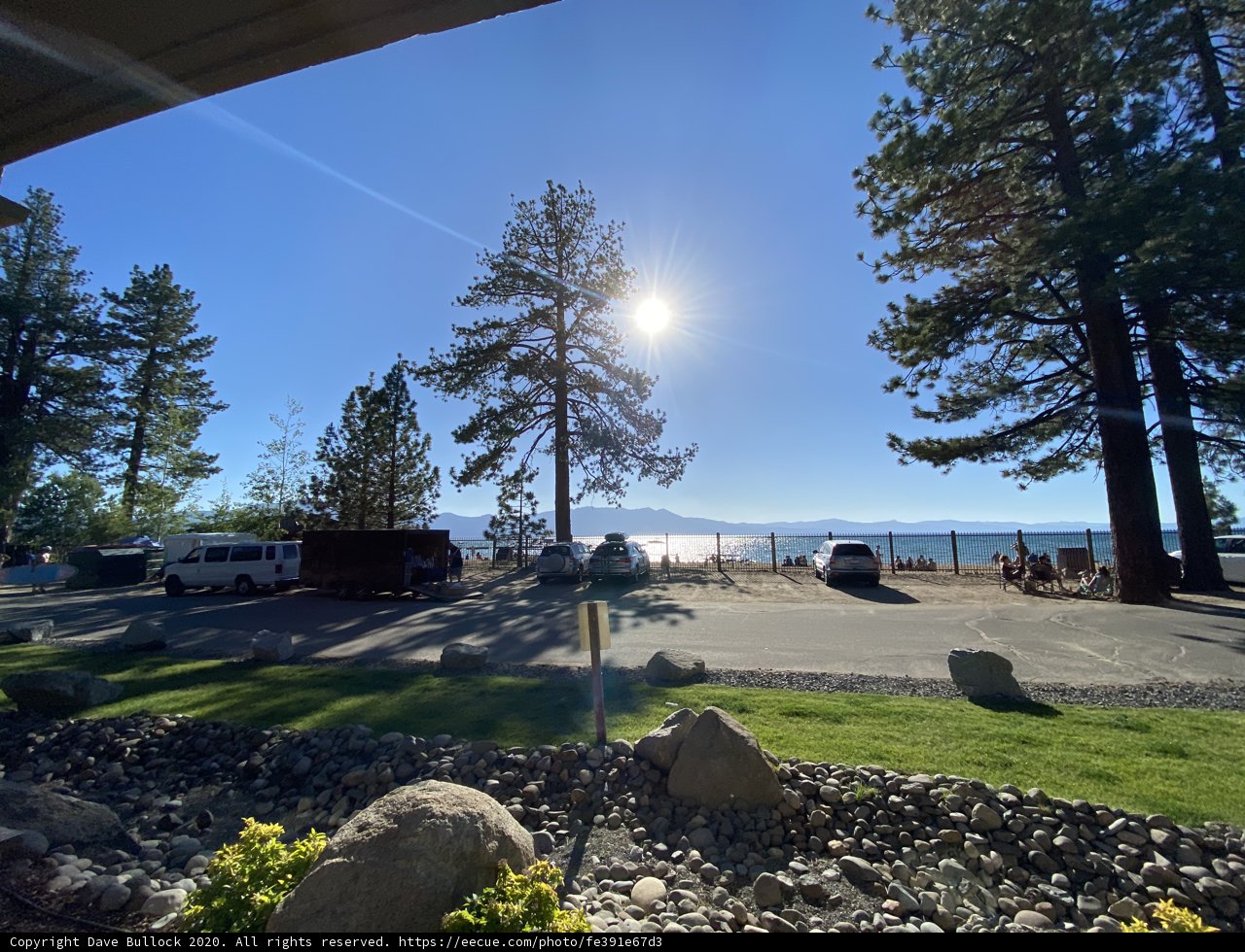 Sun-kissed Trees in the Tahoe Wilderness