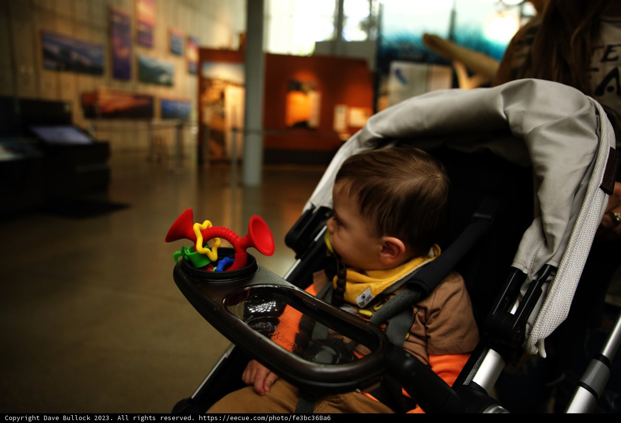 A Joyful Day at the California Academy of Sciences