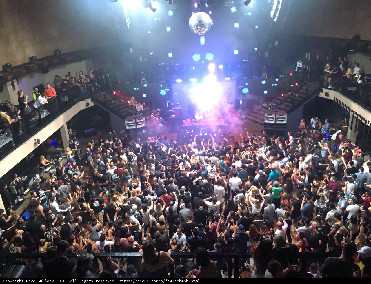 Nightlife Thrill