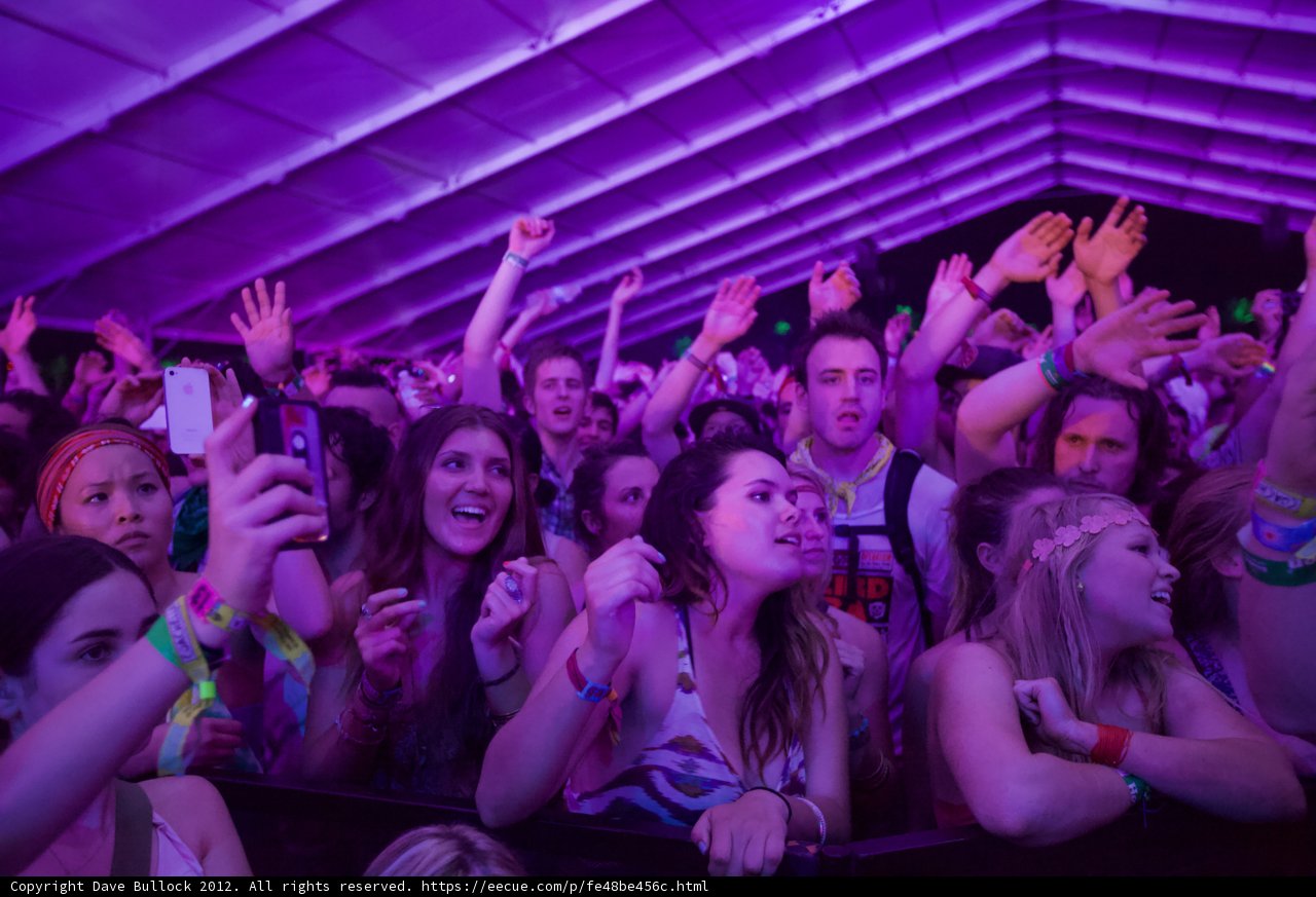 Coachella Crowd Goes Wild