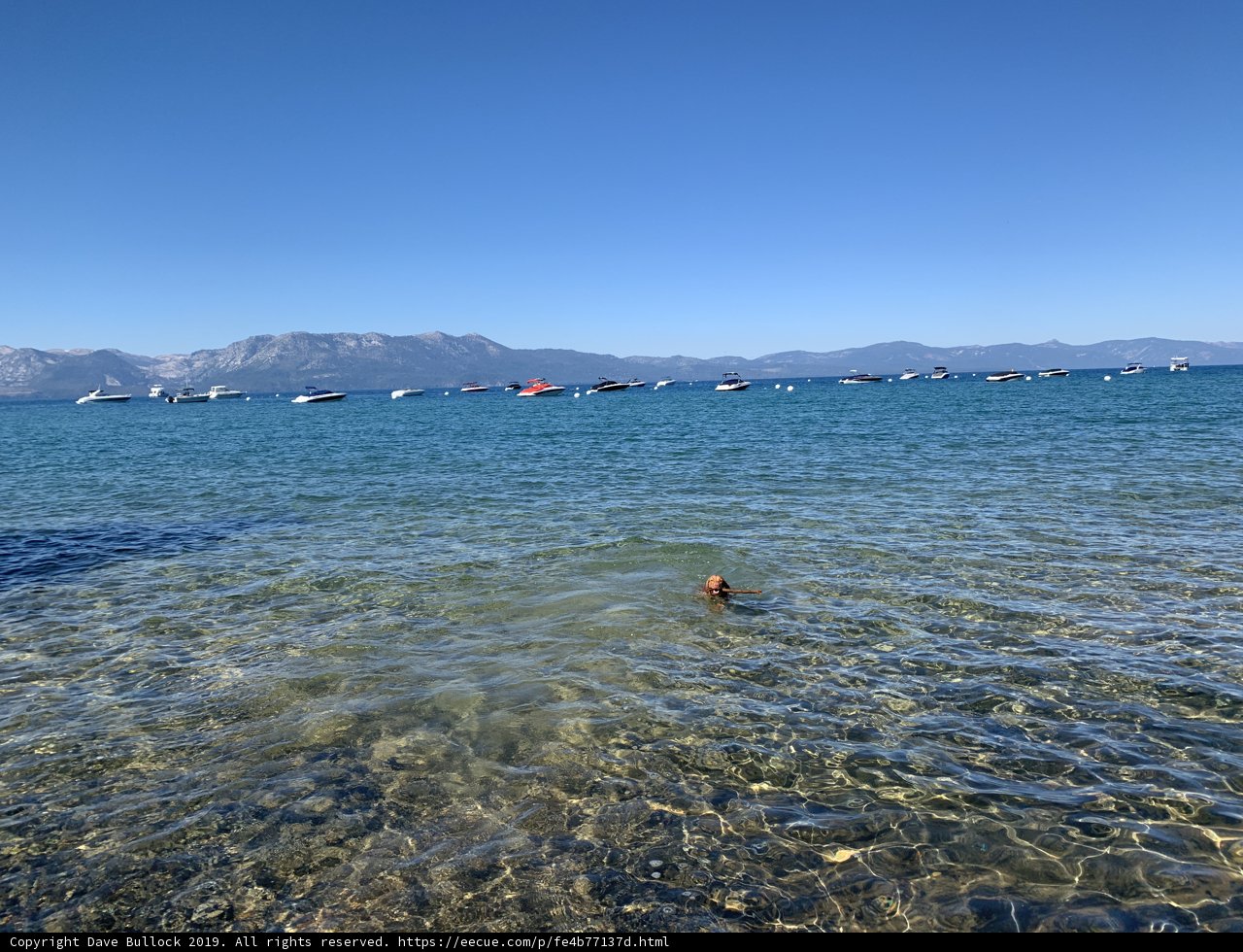Swimming in the Tranquil Waters of Zephyr Cove