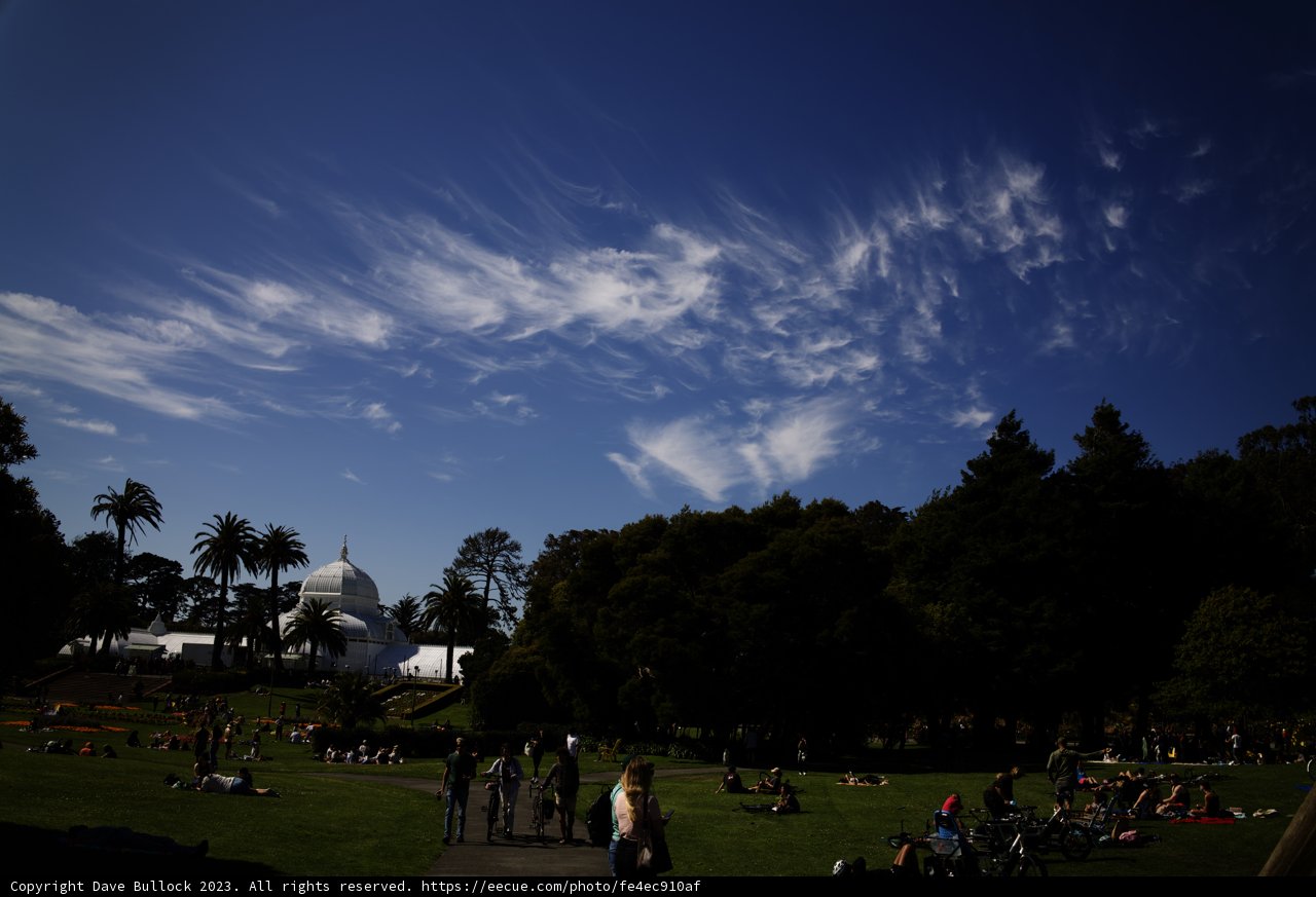 Summer Delight in Golden Gate Park