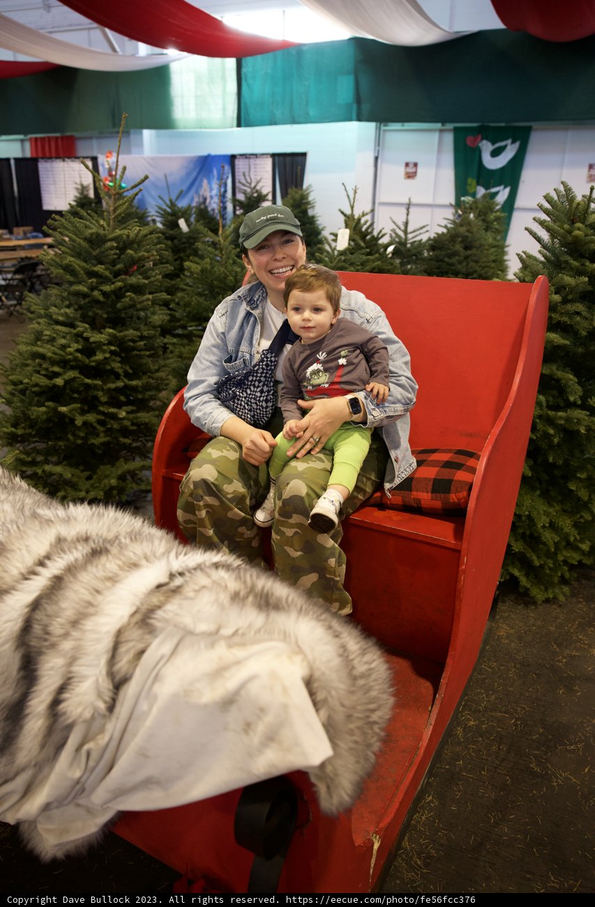 Winter Wonderland in Fort Mason
