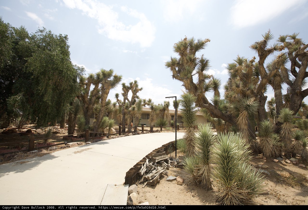 Desert Pathway Oasis