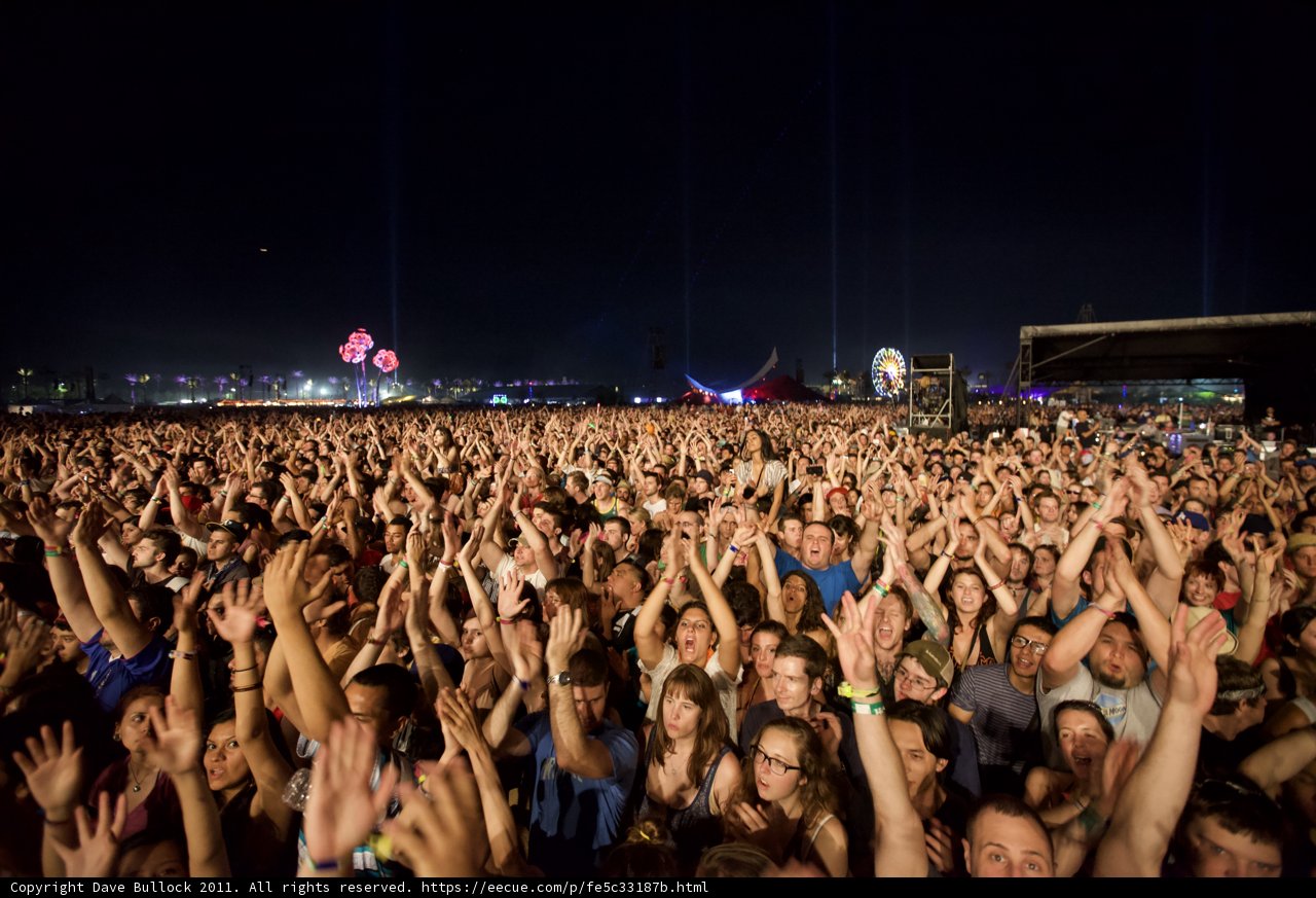 Party under the Night Sky
