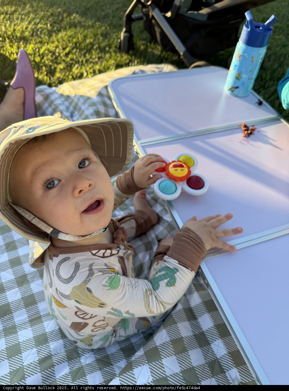 Sunny Summer Picnic