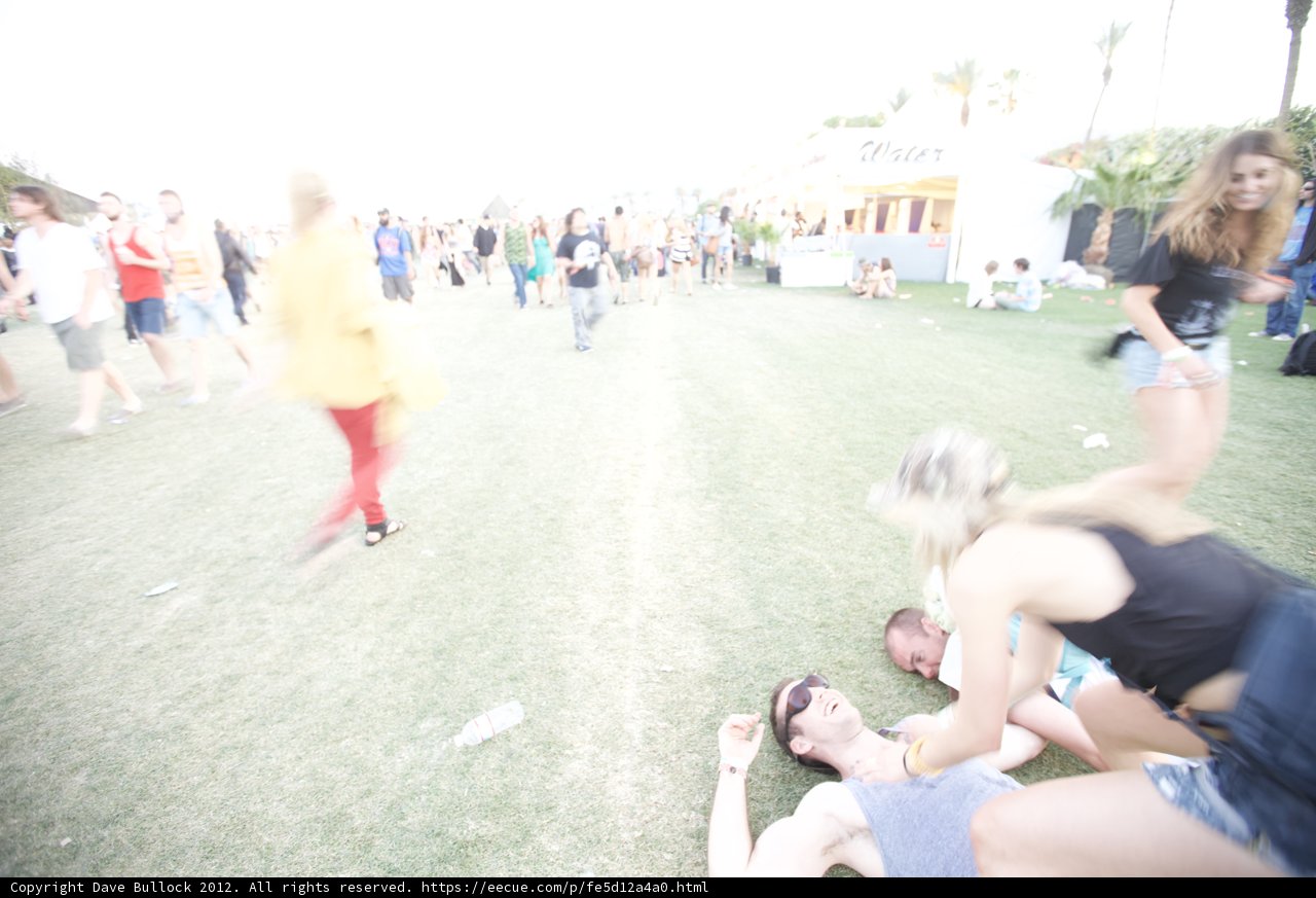 Blurry Coachella Crowd on the Grass
