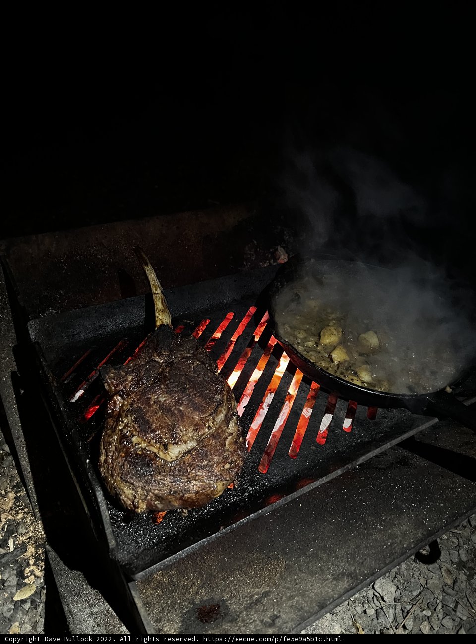 Nighttime Grilling in the Forest