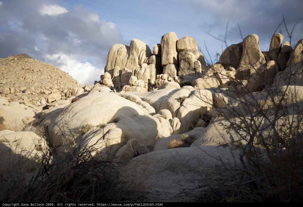 Frozen Archaeology in Joshua Tree