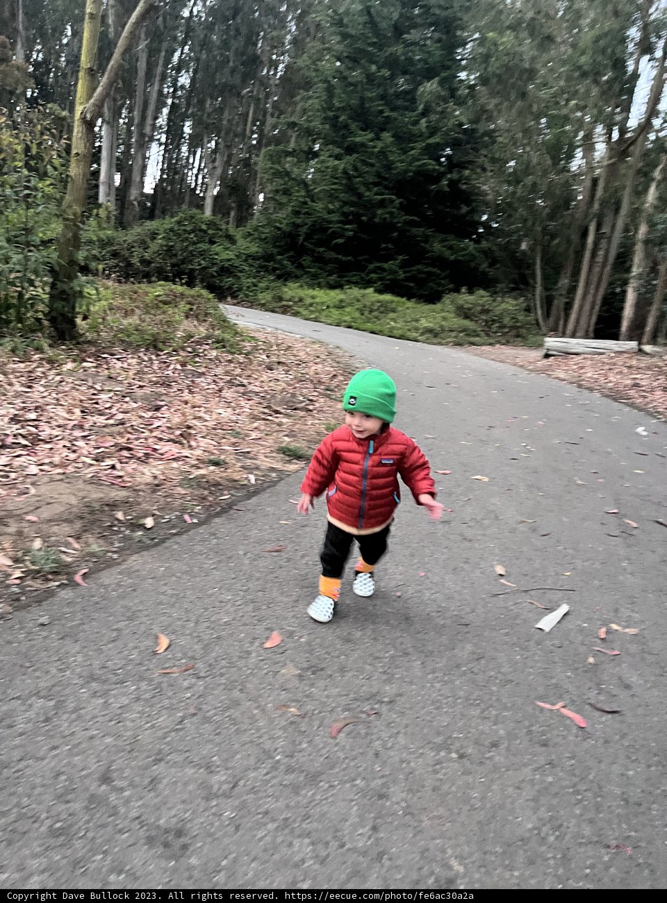 Discovering Nature's Wonders - First Camping Trip
