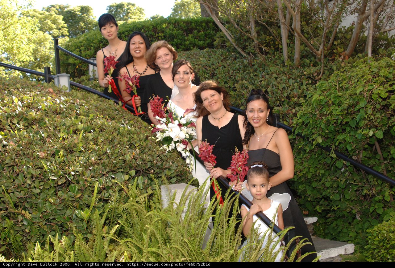 Bridal Party Poses on Garden Staircase at Wedding