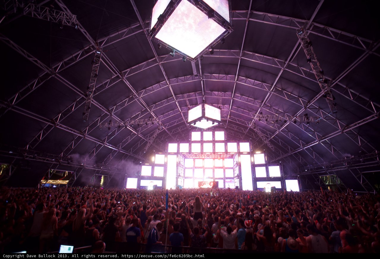The Electric Crowd at Coachella