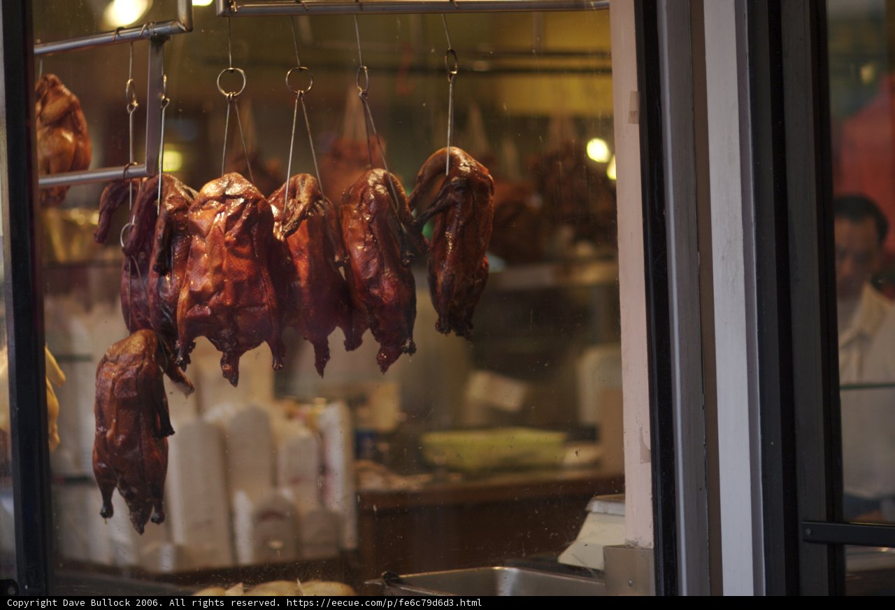 Ducks on Display