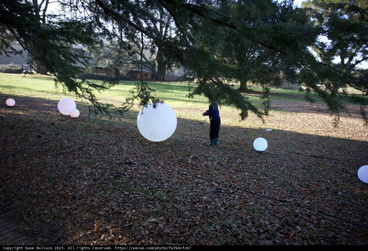Enchanted Afternoon at Thistlewyck