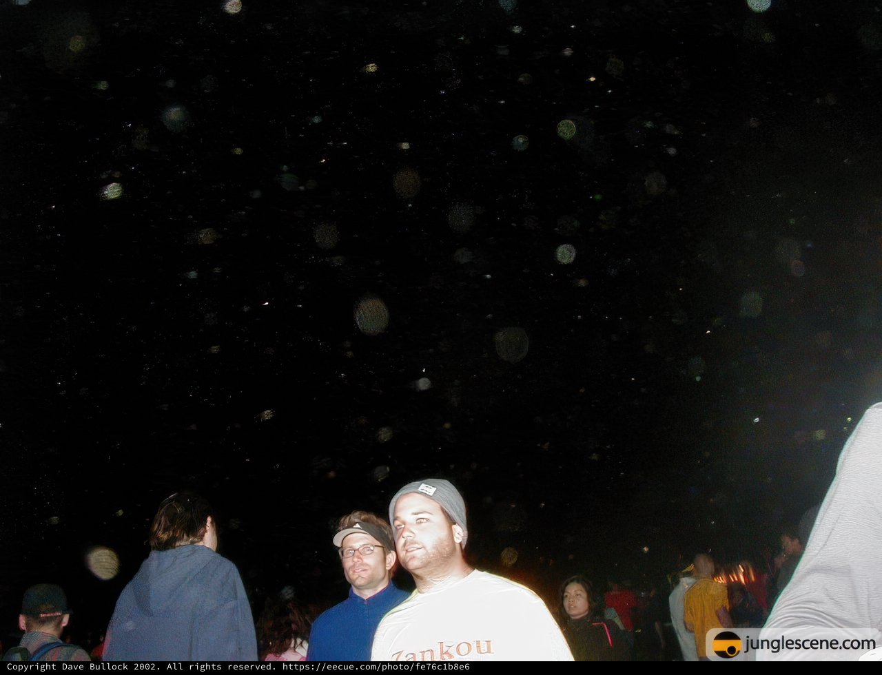 Nighttime Gathering