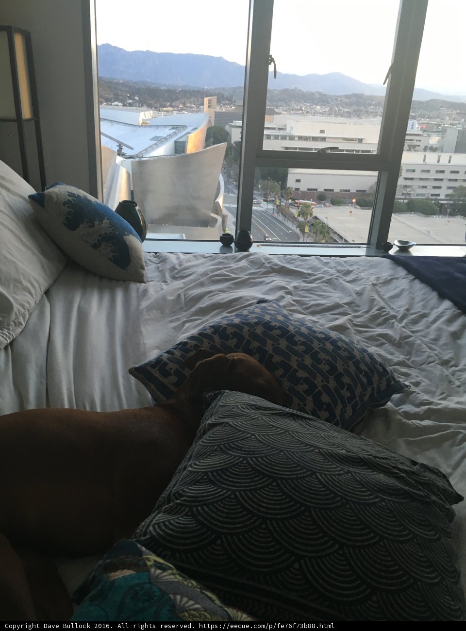 Cozy Canine Retreat