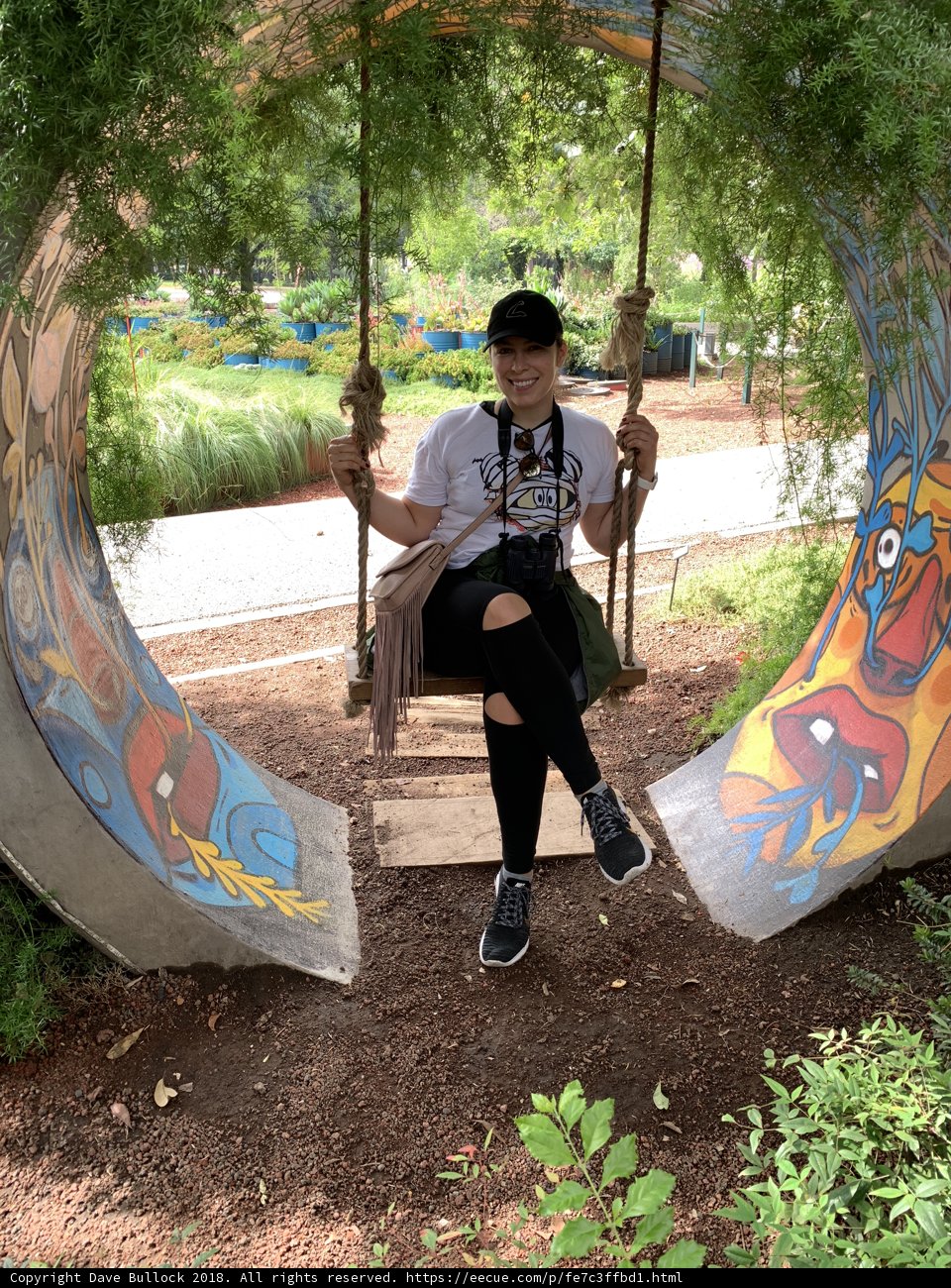Swingin' in the Park