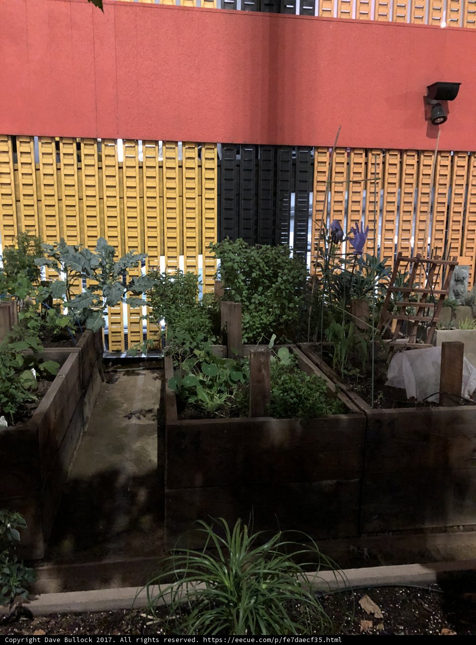 Raised Herb Garden in a Decorative Pottery Planter