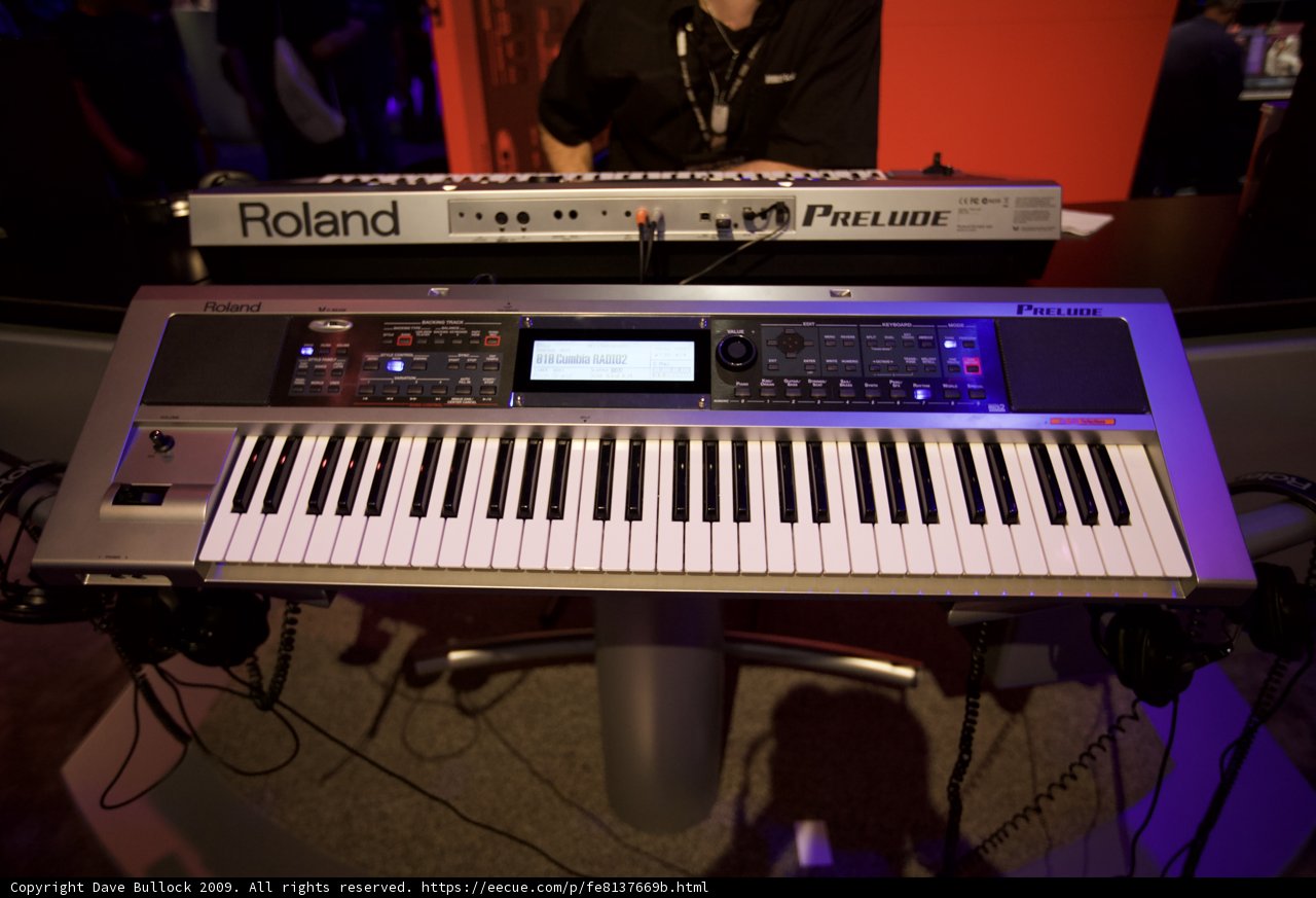 Musical Performance on Dual Keyboards