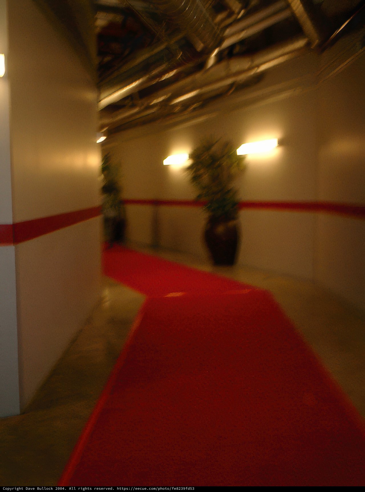 Hollywood Premiere