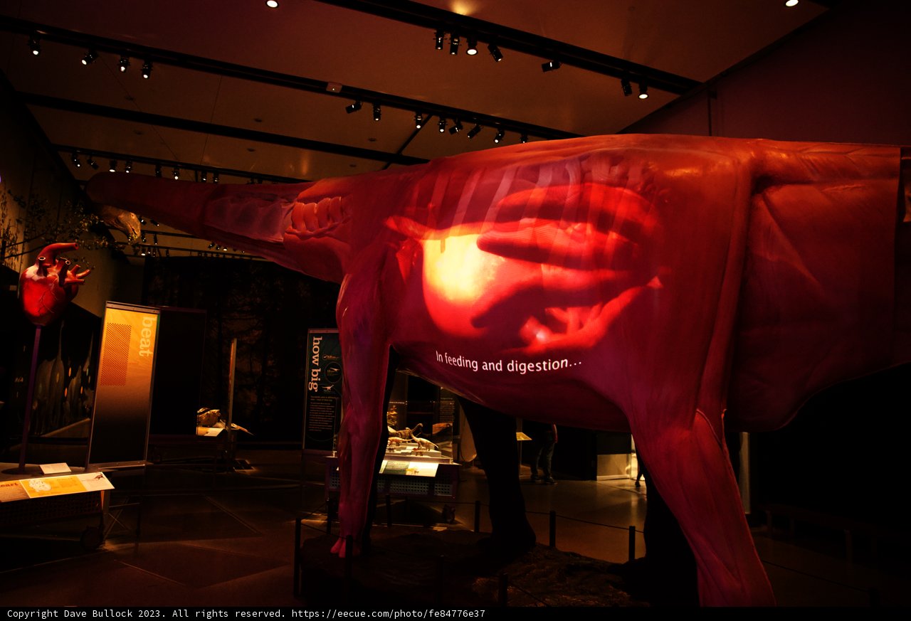 The Majestic Pink Horse Statue