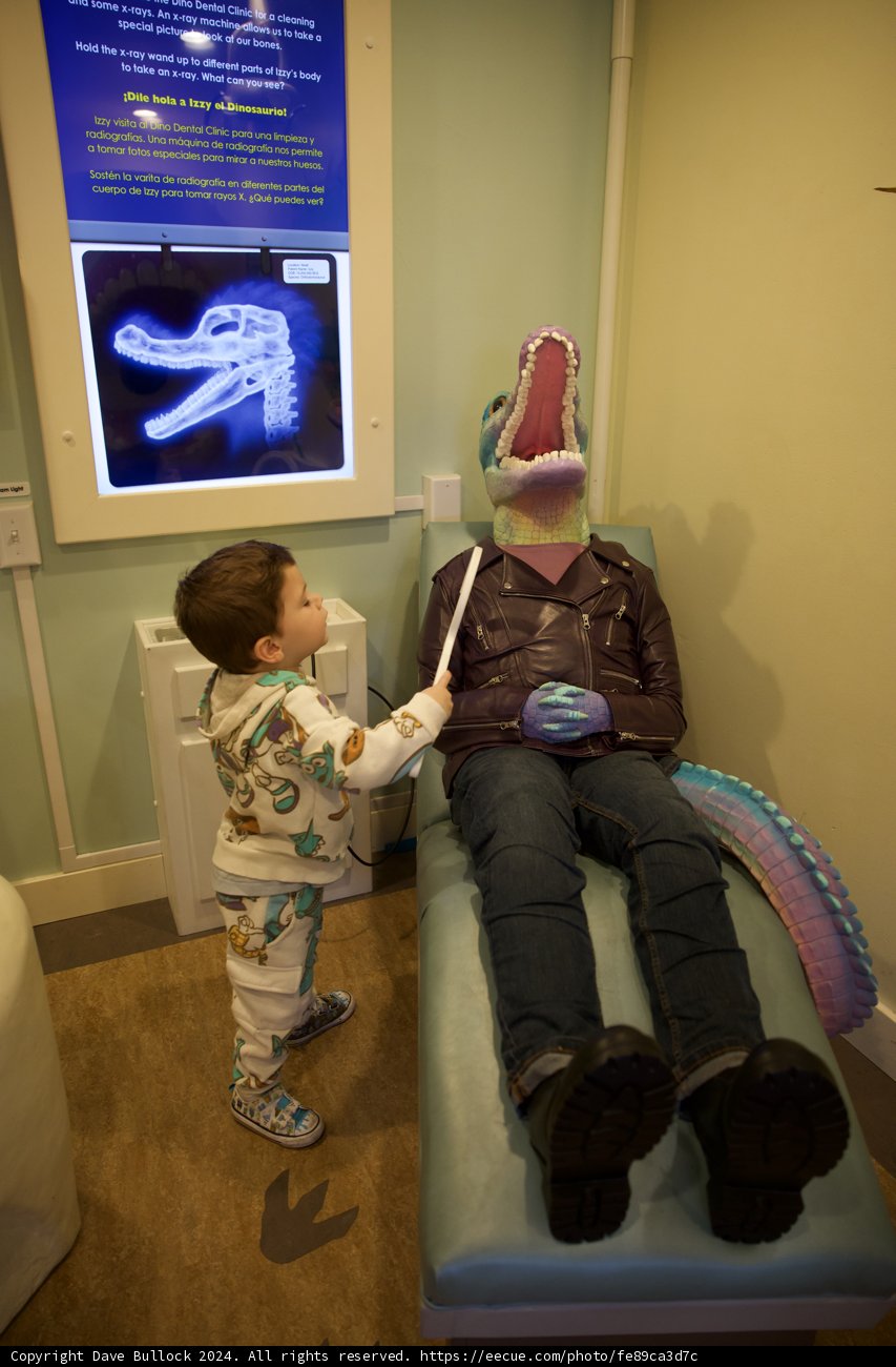 Dino Doctor at Work
