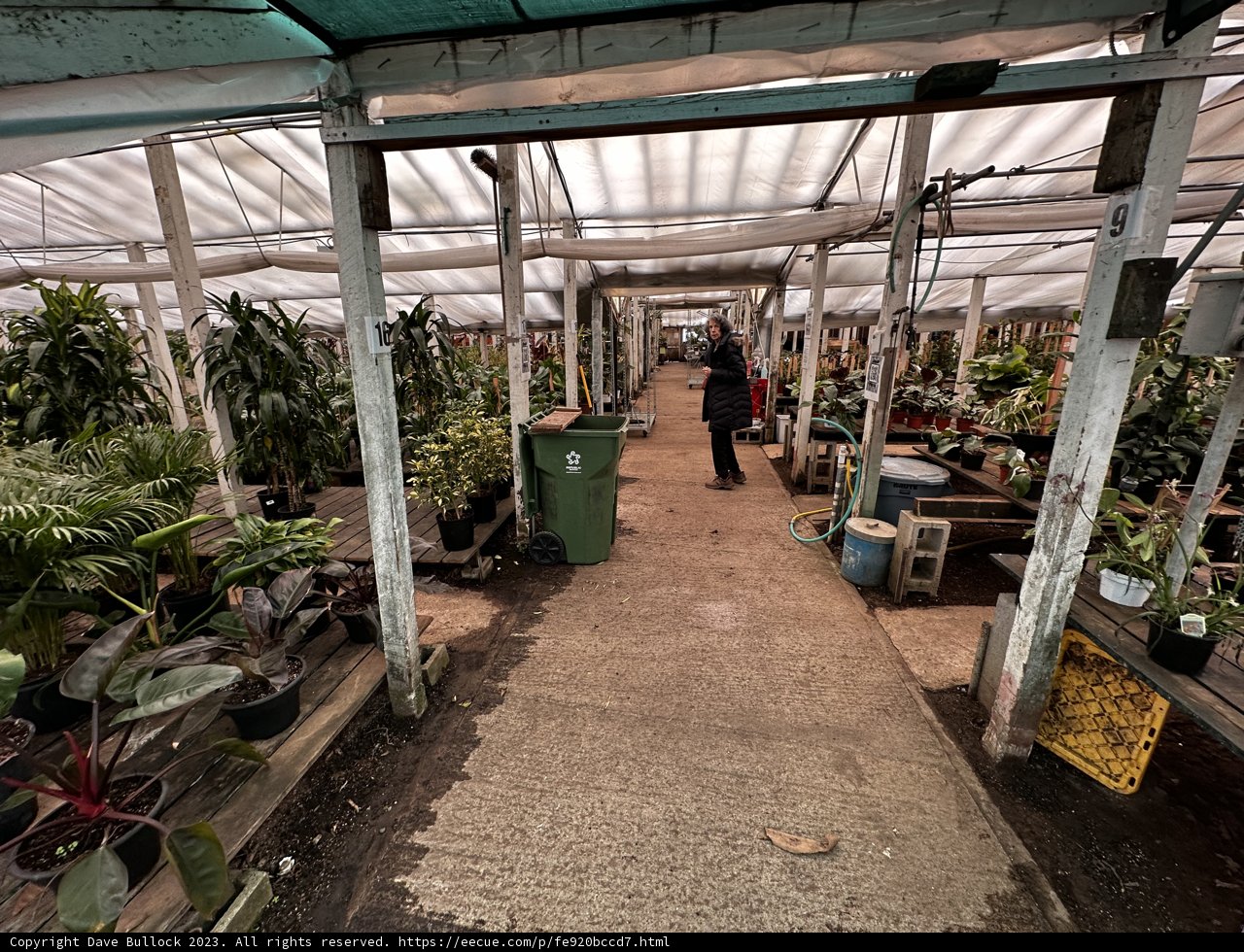 Exploring the Lush World of Greenhouses
