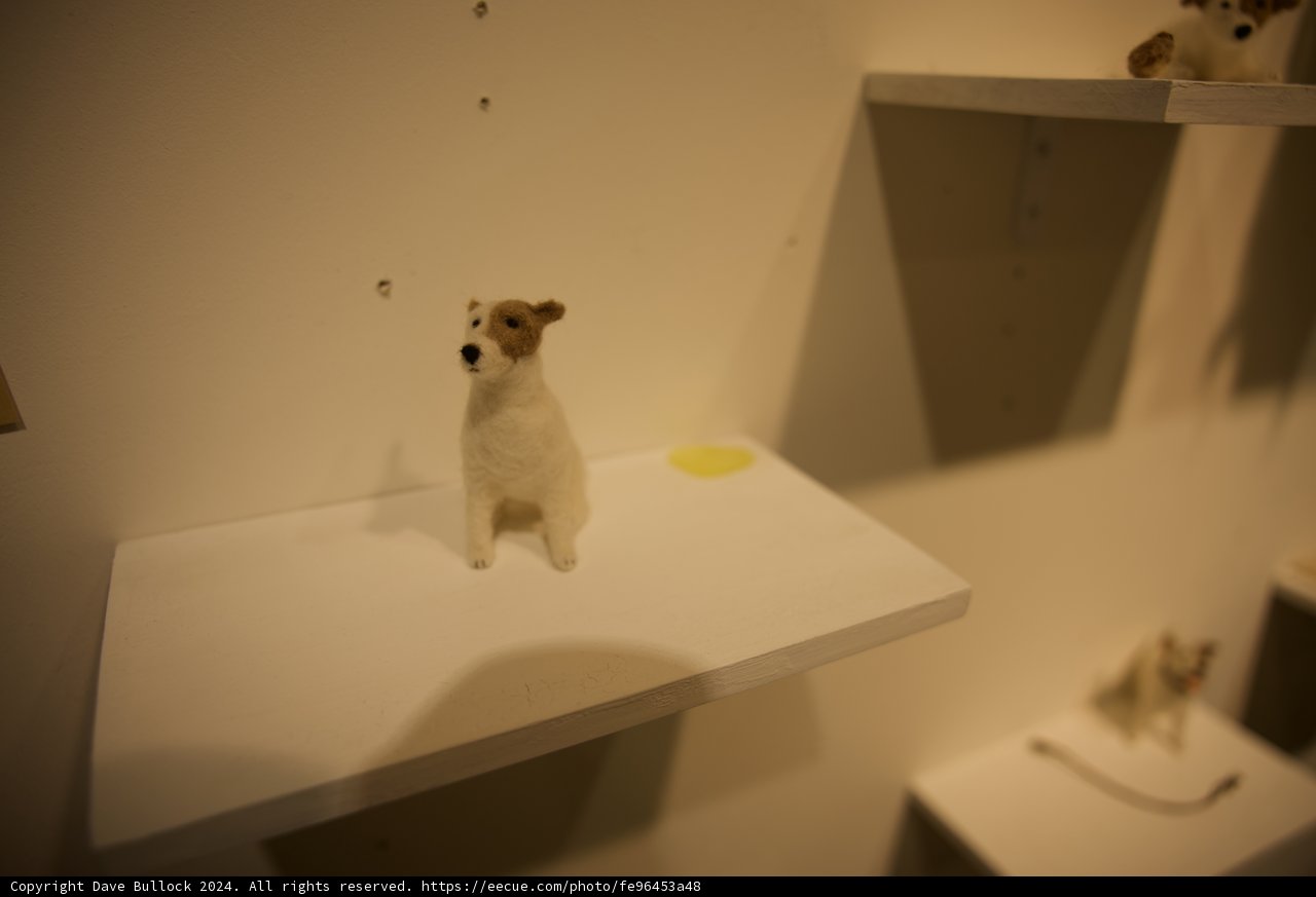 Puppy Surprise in Korean Décor