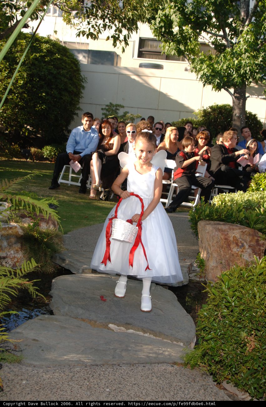 Little Bride in the Garden