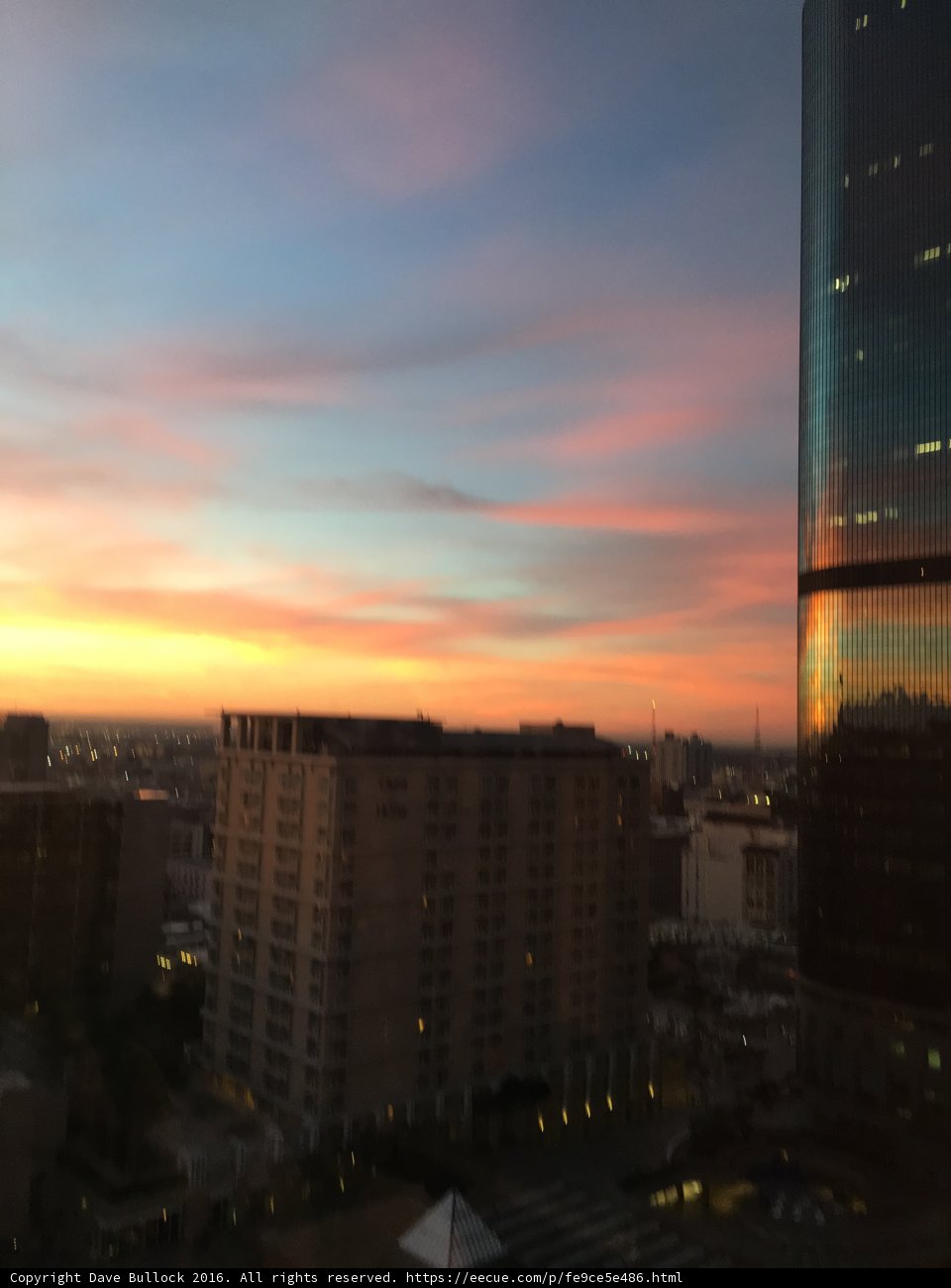Sunset over the Urban Jungle