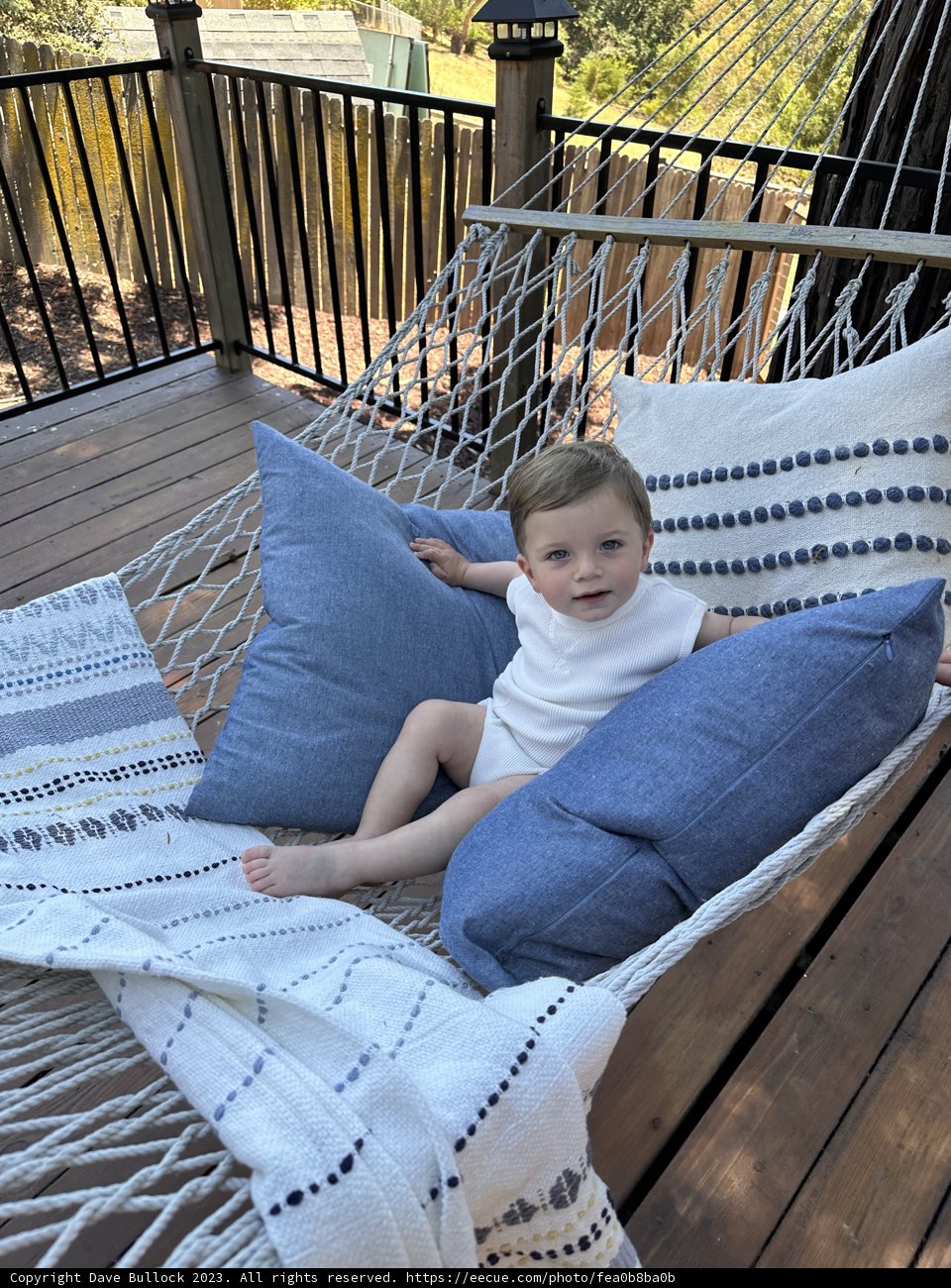 Summer Bliss in the Golden State