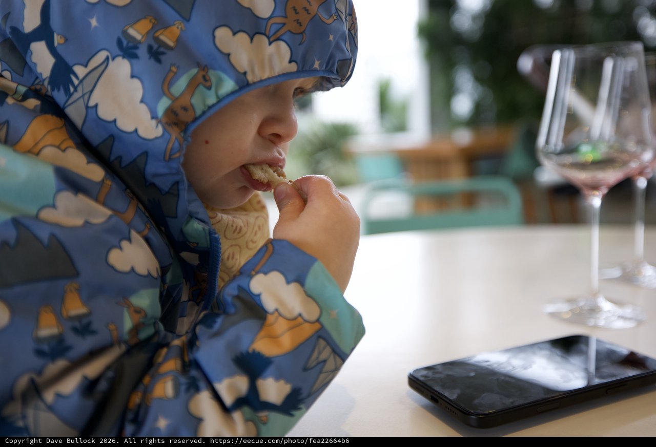 Young Child Enjoying Meal at Restaurant Table