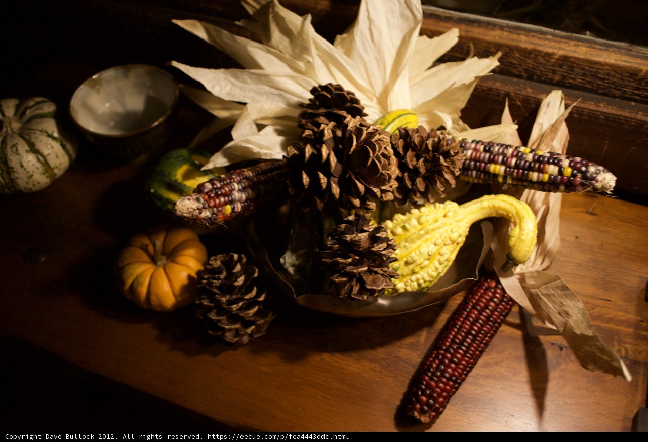 Harvest Bounty