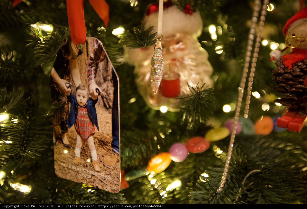 Personalized Photo Ornaments on Illuminated Christmas Tree