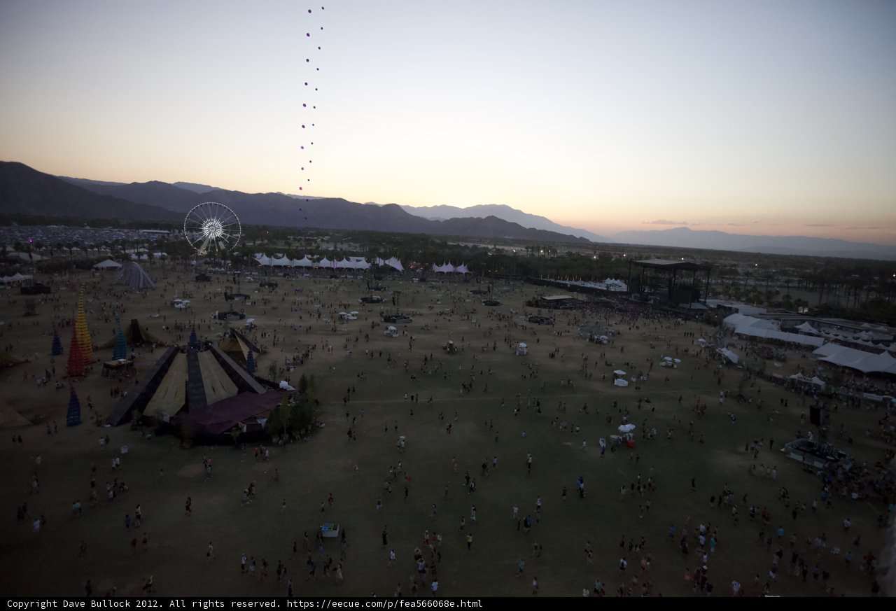Desert Festival Fun