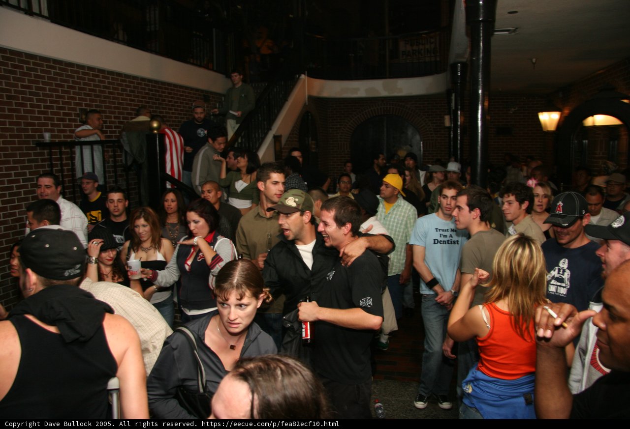 Party in the Urban Jungle