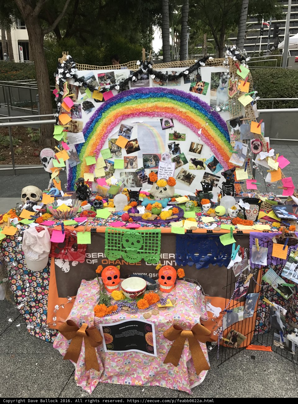 Rainbow Table of Carnival Fun