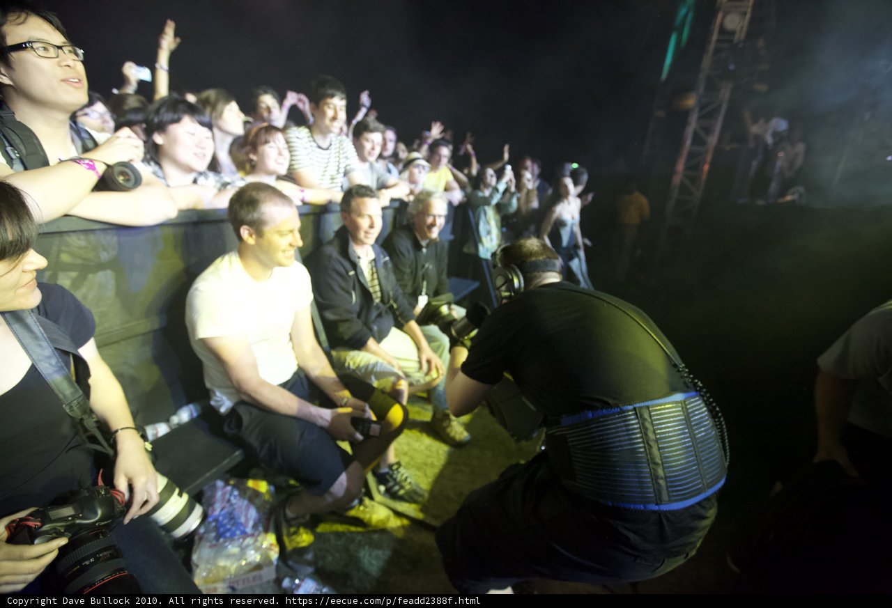 Concertgoers in the Crowd
