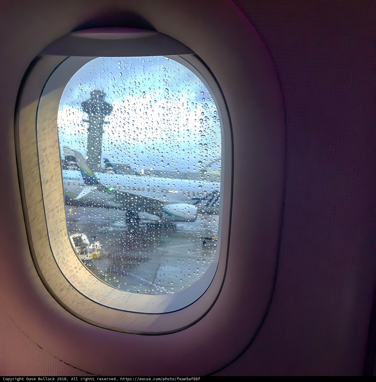 Raindrops on an Airplane Window