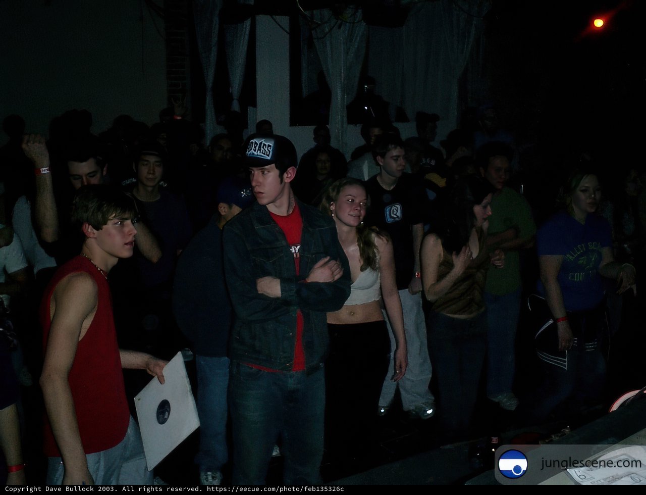Nightclub Crowd with DJ