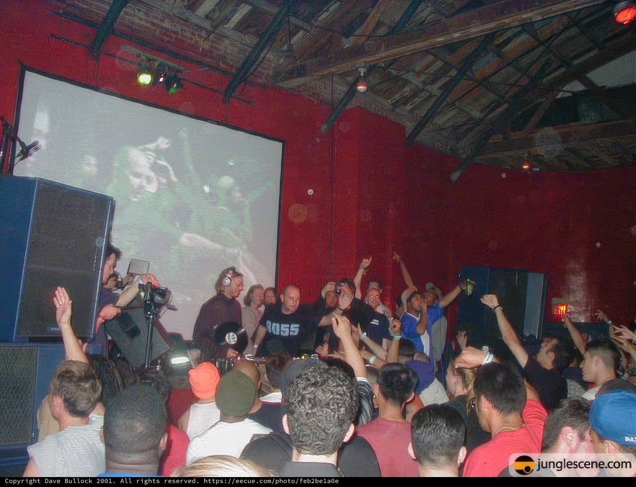 High Energy Nightclub Concert