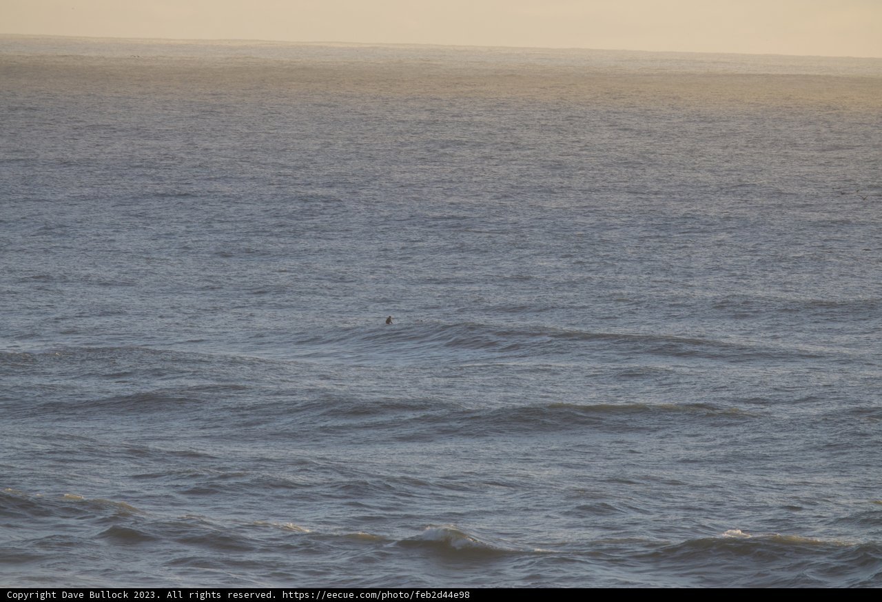 A Dance with the Wind and Waves