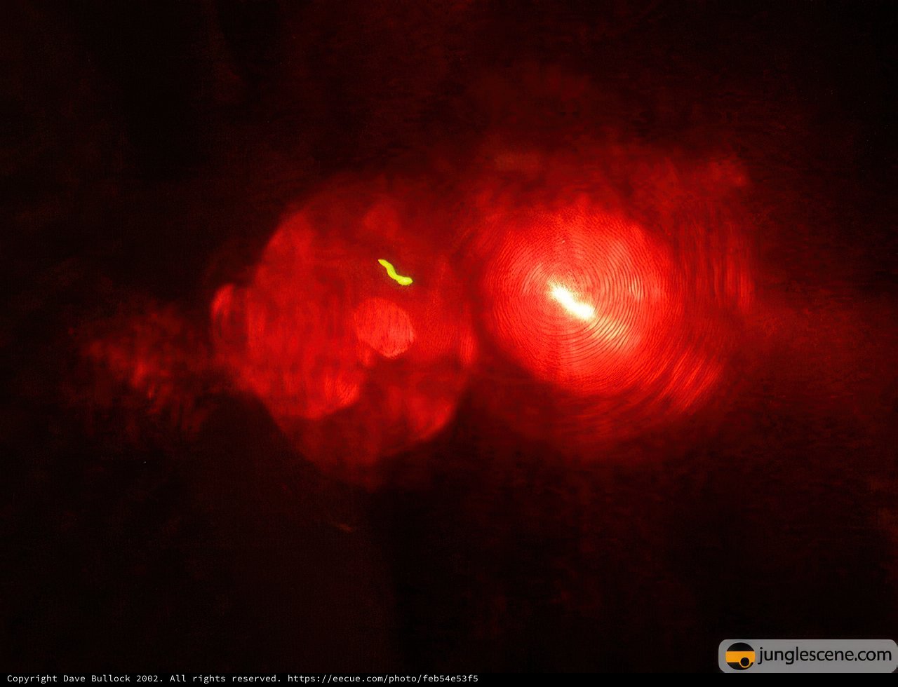 Fiery Flare in the Night