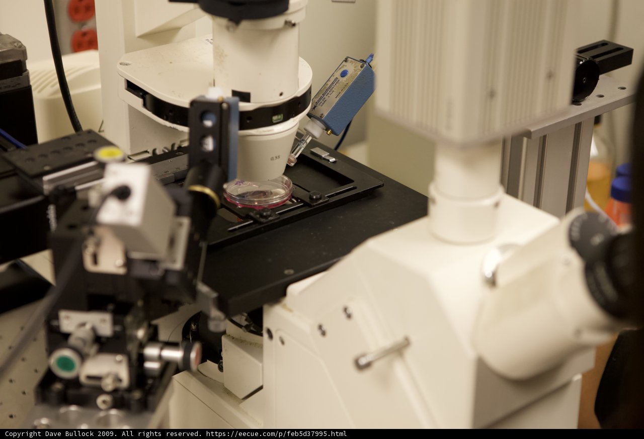 Exploring the Microscopic World